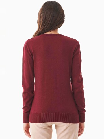 Organication Pullover in Rot