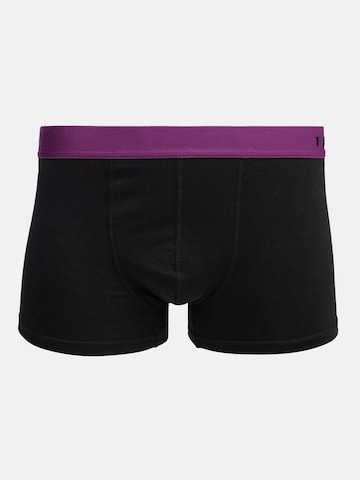 Tazzio Boxershorts 'BS1001' in Mischfarben