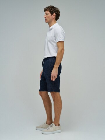 Salsa Jeans Regular Jeans in Blauw