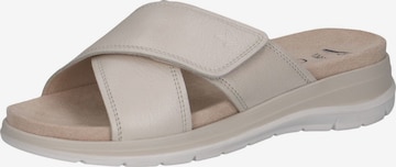 CAPRICE Mules in Beige: front