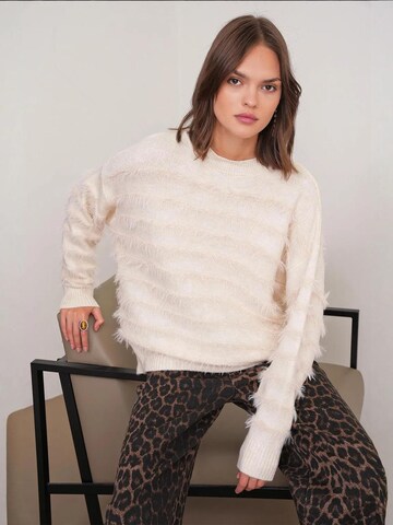 Pullover di MixRay in beige