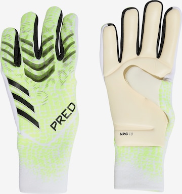 ADIDAS PERFORMANCE Sports gloves 'Predator GL Pro Promo' in Green: front