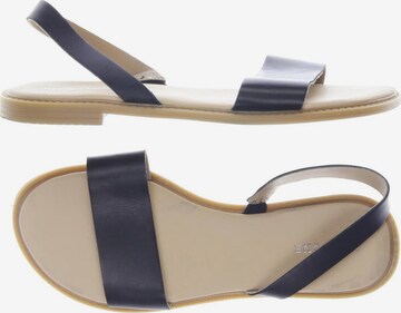 Pier One Sandalen 37 in Schwarz: predná strana