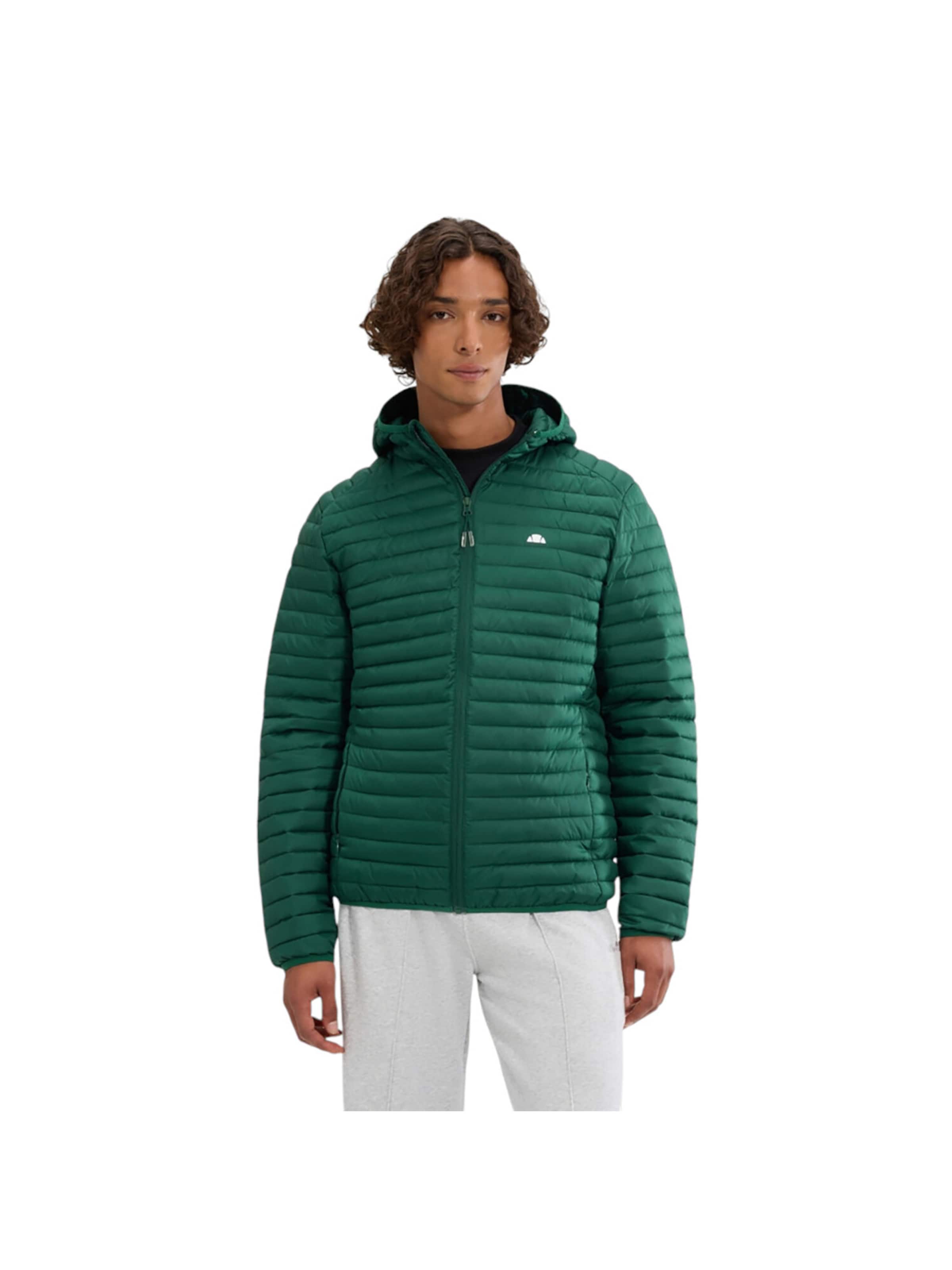ELLESSE Between-Season Jacket 'Pallochi' in Green: front