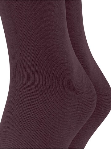ESPRIT Socken 'Basic Uni 2-Pack'‌ in Rot