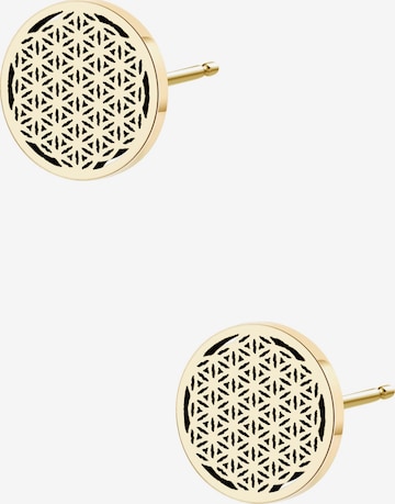 Hey Happiness Earrings 'Flower Of life' in Gold: front