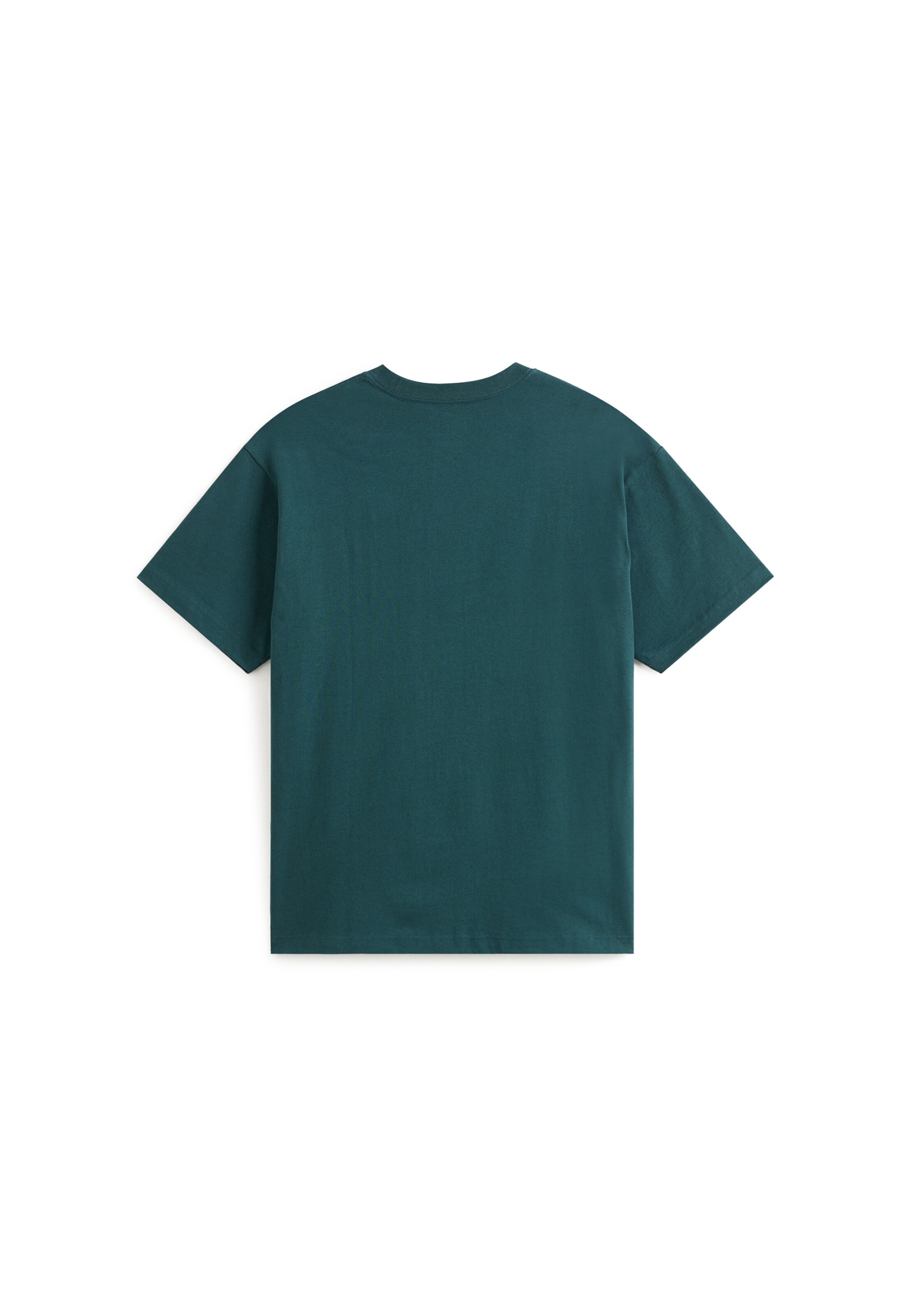 VANS T-Shirt in Grün