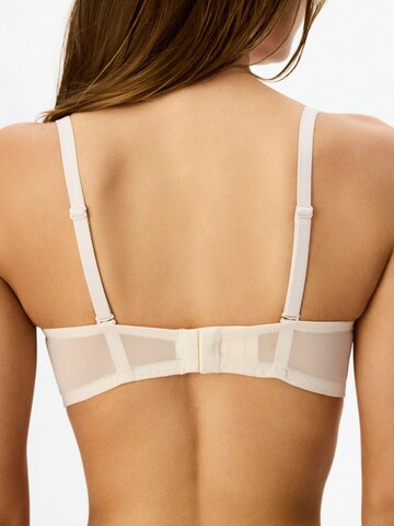 Reggiseno 'BHs & Bralettes' di Penti in marrone