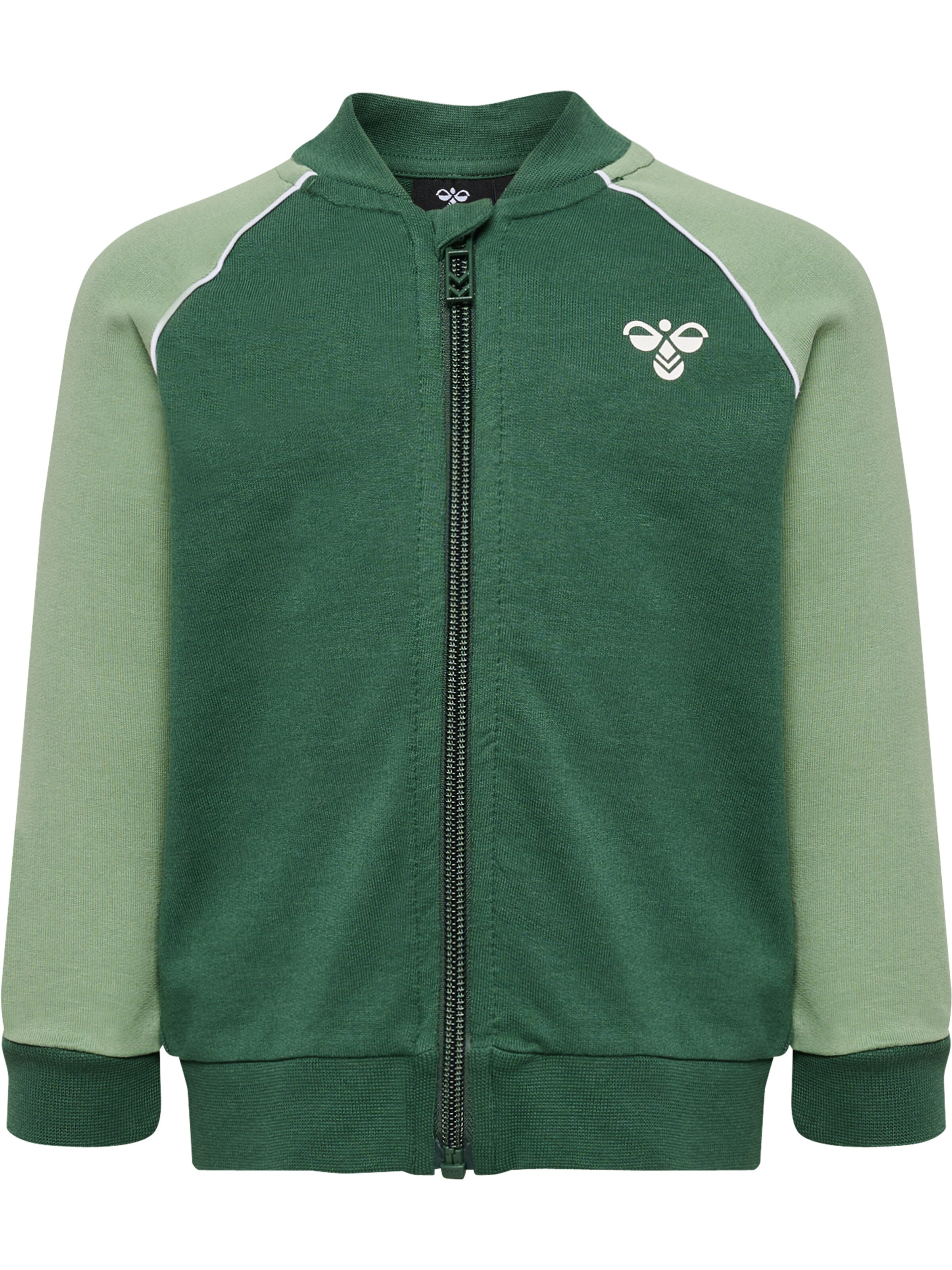 Hummel Sweatshirt 'ARNOLD' i grøn: forside
