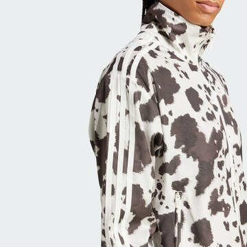 ADIDAS ORIGINALS Демисезонная куртка в Серый