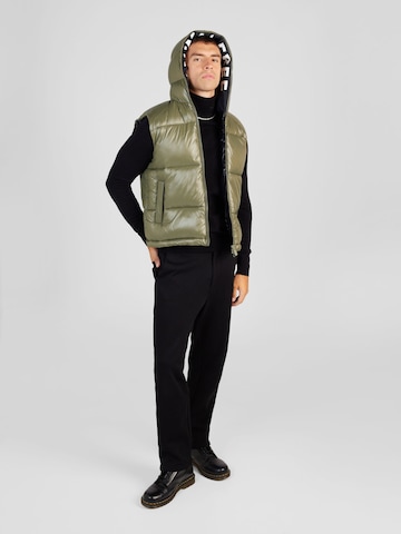 SAVE THE DUCK Vest 'Dexter' in Green