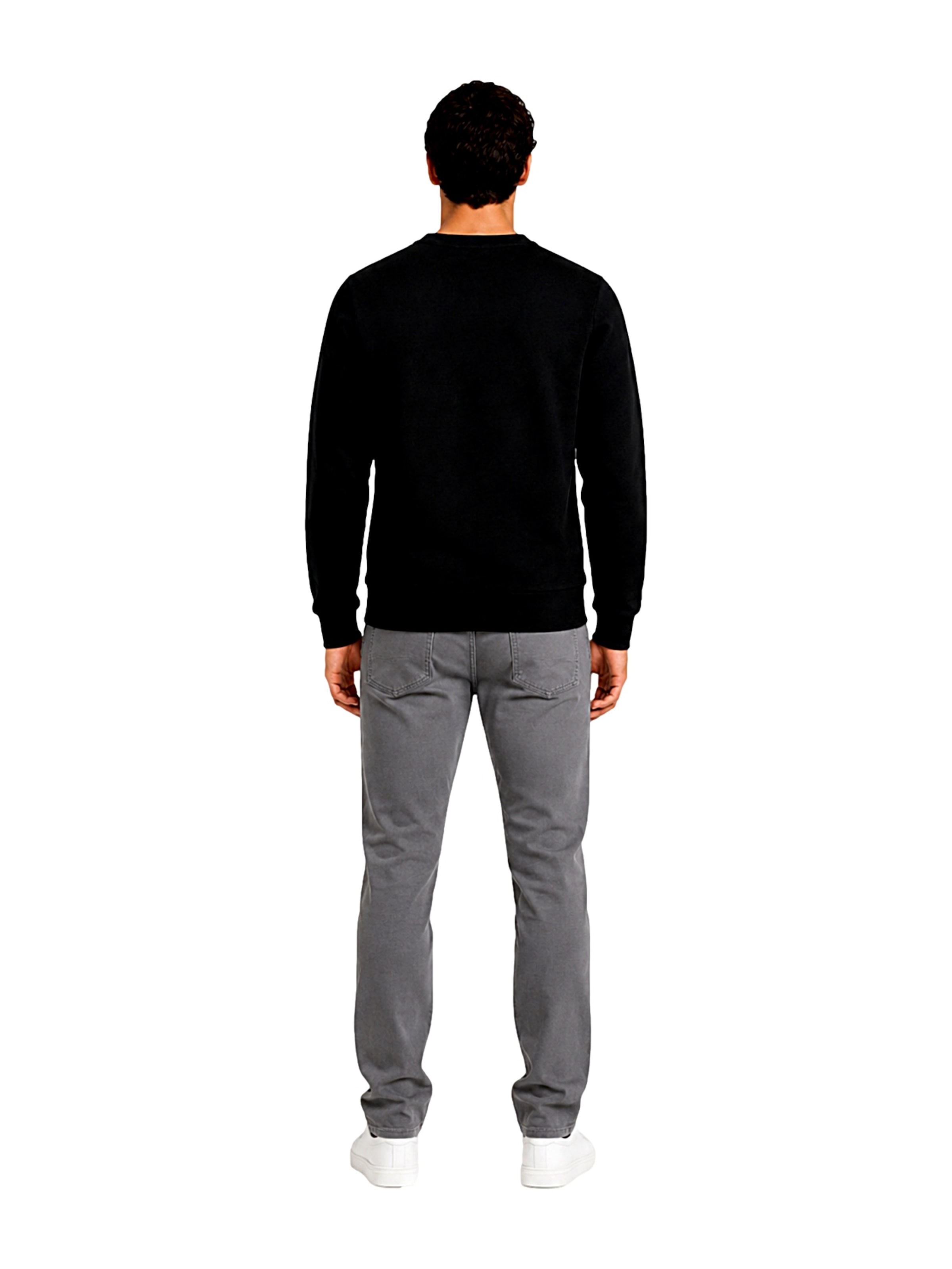 U.S. POLO ASSN. Sweatshirt in Black