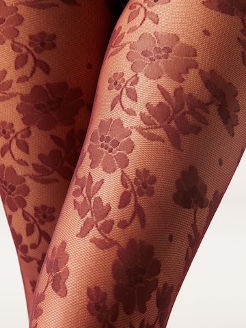 CALZEDONIA Tights in Red