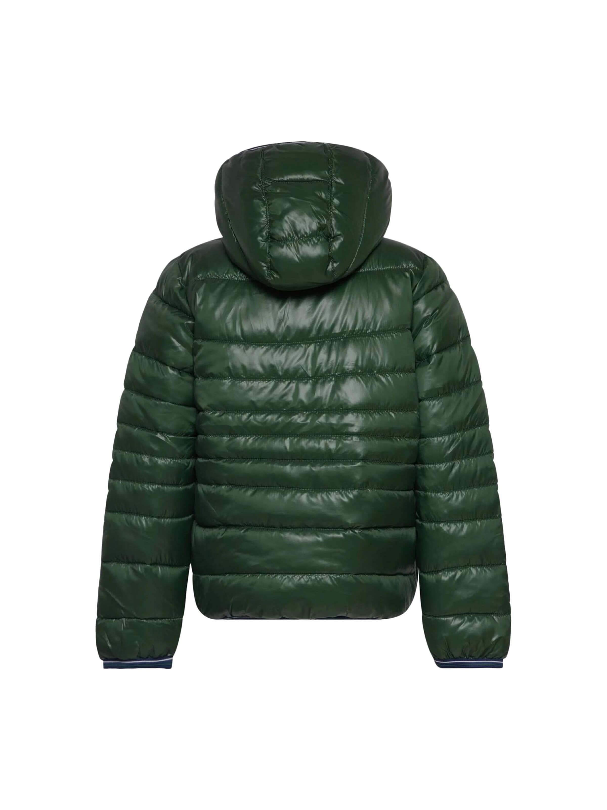 LEVI'S ® Winterjacke‌‌‌‌‌ in Grün
