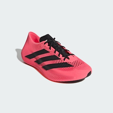ADIDAS SPORTSWEAR Sportovní boty – červená