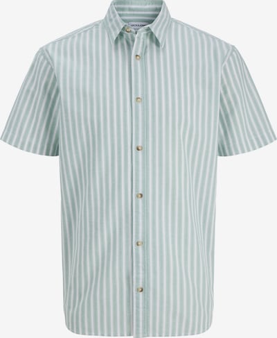 Marškiniai 'JJCHAD' iš JACK & JONES, spalva – mėtų spalva / juoda / balta, Prekių apžvalga