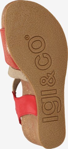 IGI&CO Strap Sandals in Mixed colors