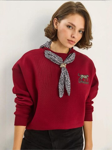 Bianco Lucci Sweatshirt in Rood