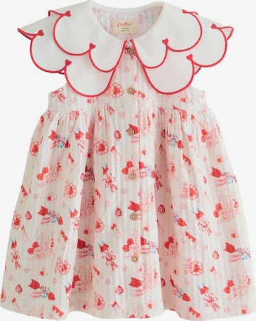 raudona Next Suknelė: priekis