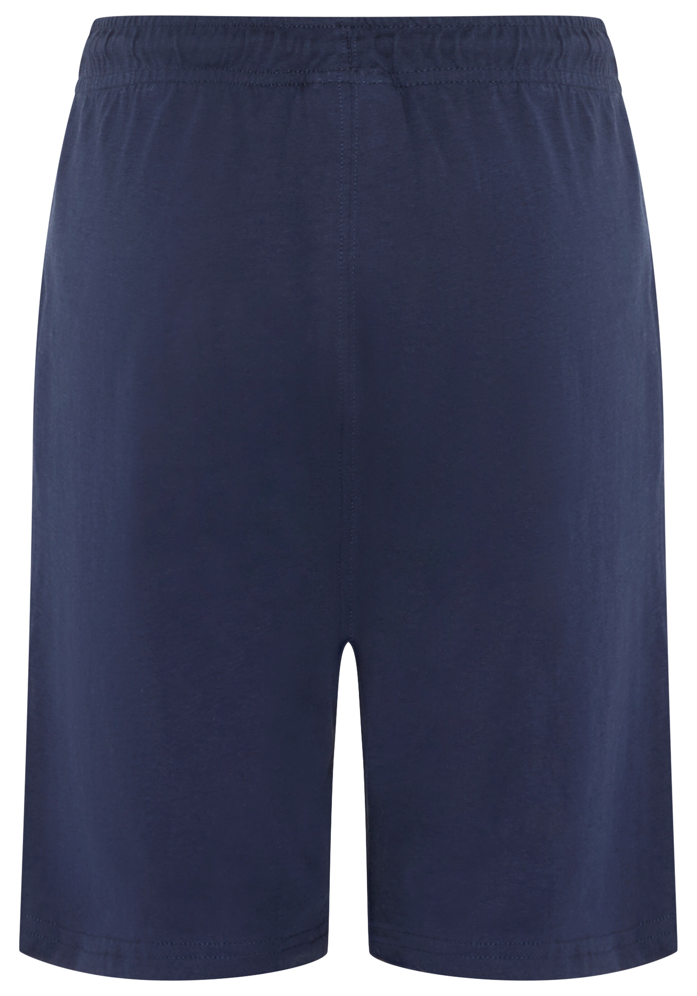 Champion Regular Shorts in Blau