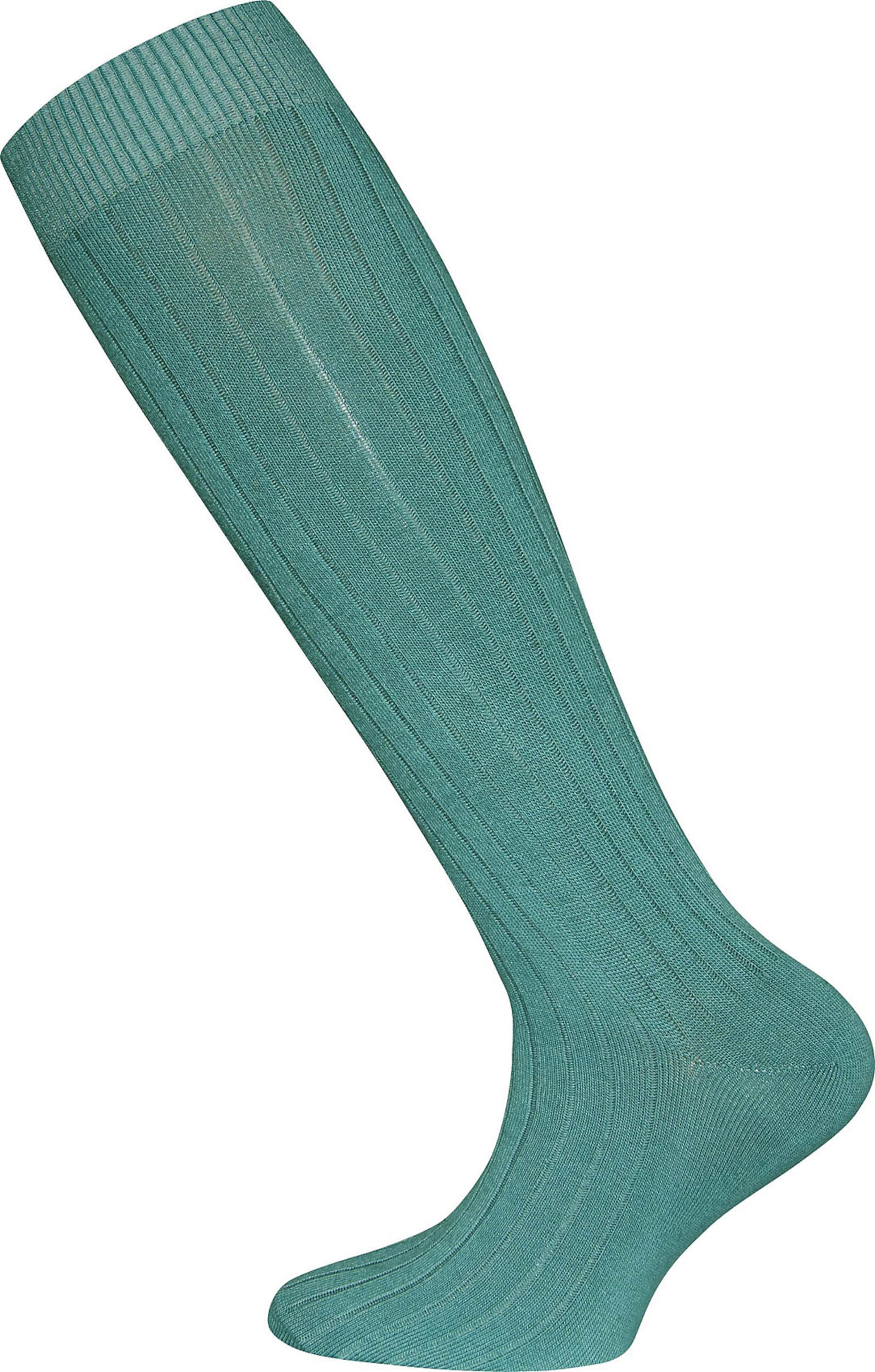 EWERS regular Κάλτσες σε κίτρινο