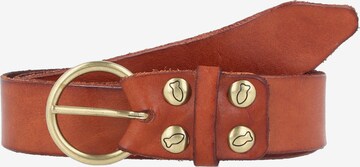 Ceinture Campomaggi en marron : devant