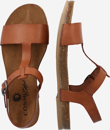 Sandalo di COSMOS COMFORT in marrone