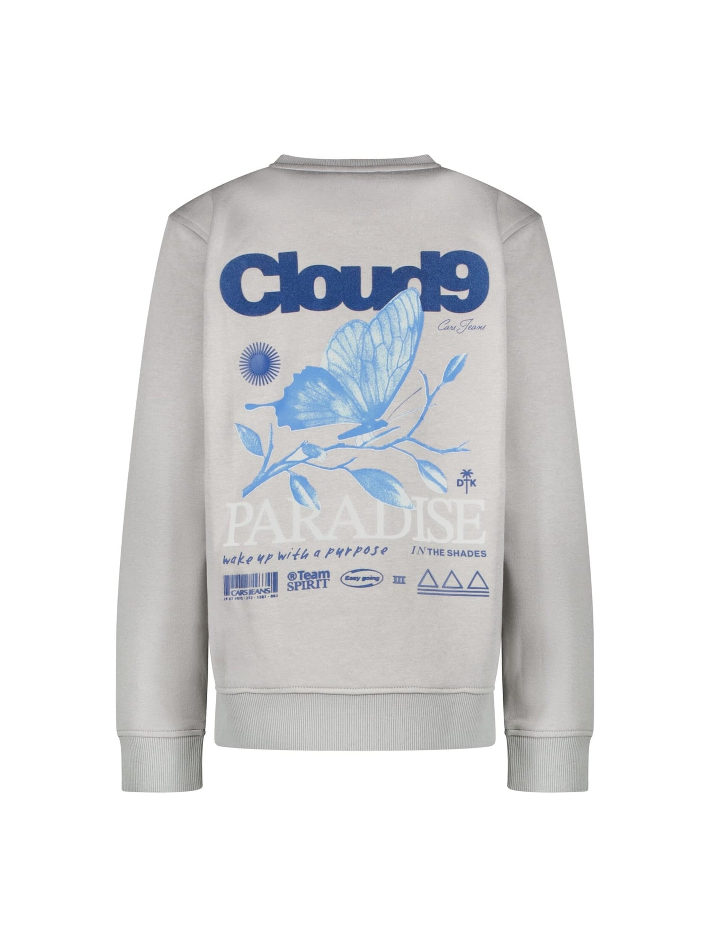 CARS Sweatshirt in Grey