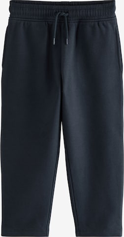 mėlyna Next Standartinis Kelnės: priekis