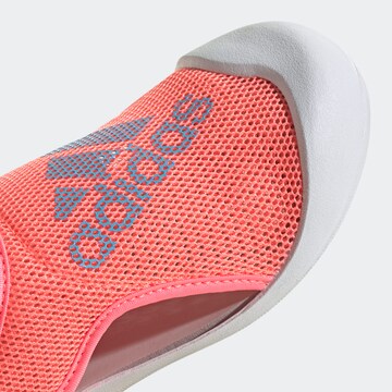 ADIDAS SPORTSWEAR Beach & Pool Shoes 'Altaventure' in Red