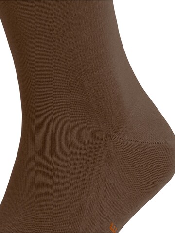 FALKE Socken 'Tiago'‌‌‌‌‌‌ in Braun