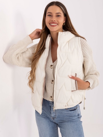 Madnezz House Weste '2502' in Beige: Vorderseite