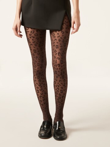 CALZEDONIA Tights in Black: front