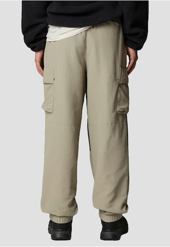 Tapered Pantaloni per outdoor 'Hmlyn' di THE NORTH FACE in grigio