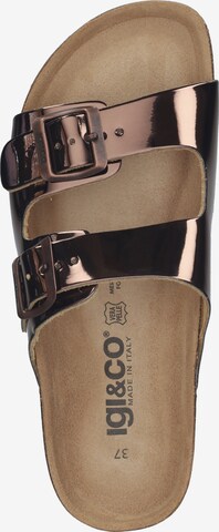 Mule IGI&CO en marron