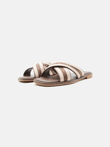 Mule 'Arrows' STEVE MADDEN en marron