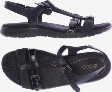 ECCO Sandals & High-Heeled Sandals in 37 in Black: front