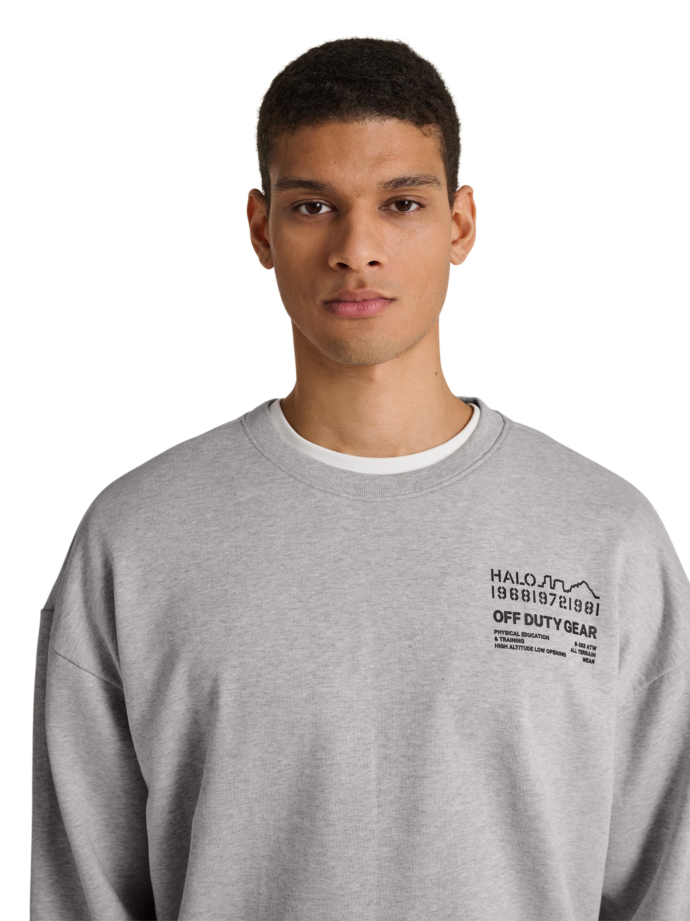 HALO Sweatshirt in Grau