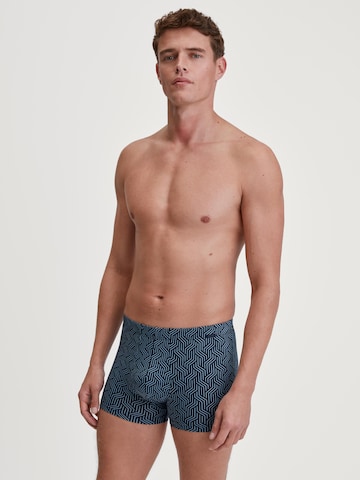 CALIDA Boxer shorts 'Focus Trend' in Blue: front