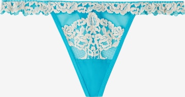 INTIMISSIMI Thong in Blue: front
