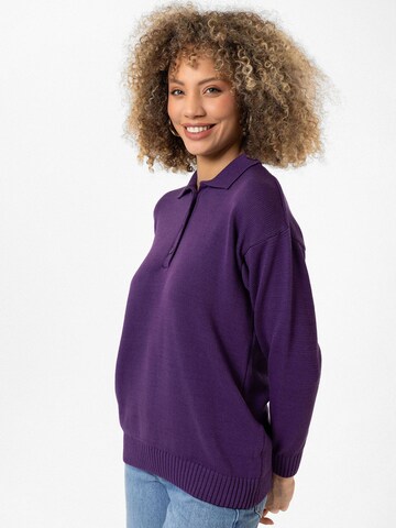 Williot Sweater 'Joshua' in Purple