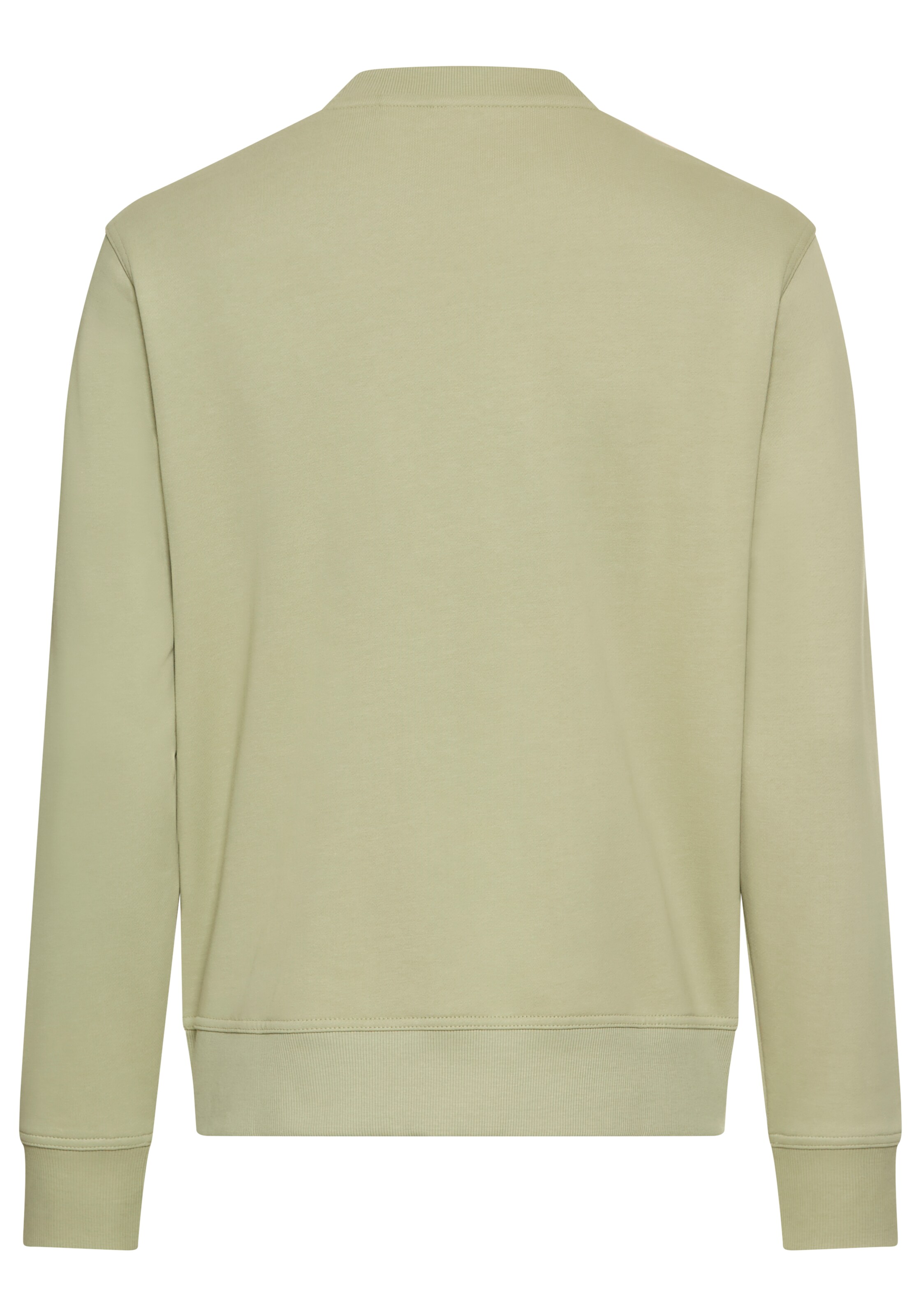 BOSS Sweatshirt 'WeBasic' in Green