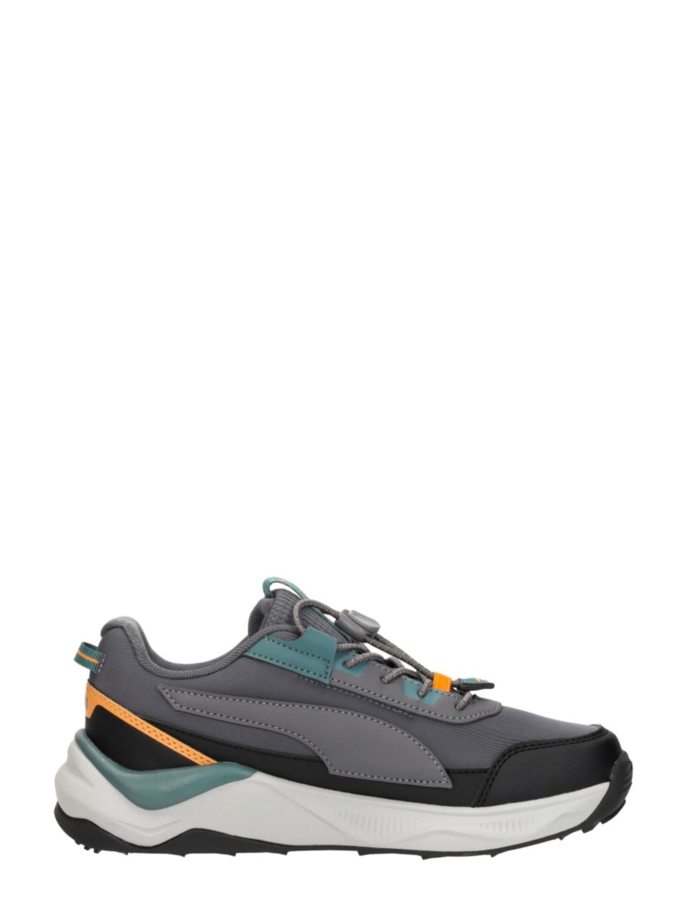PUMA Sneakers 'Evolve 2.0 Trail Lo PS' in Grijs