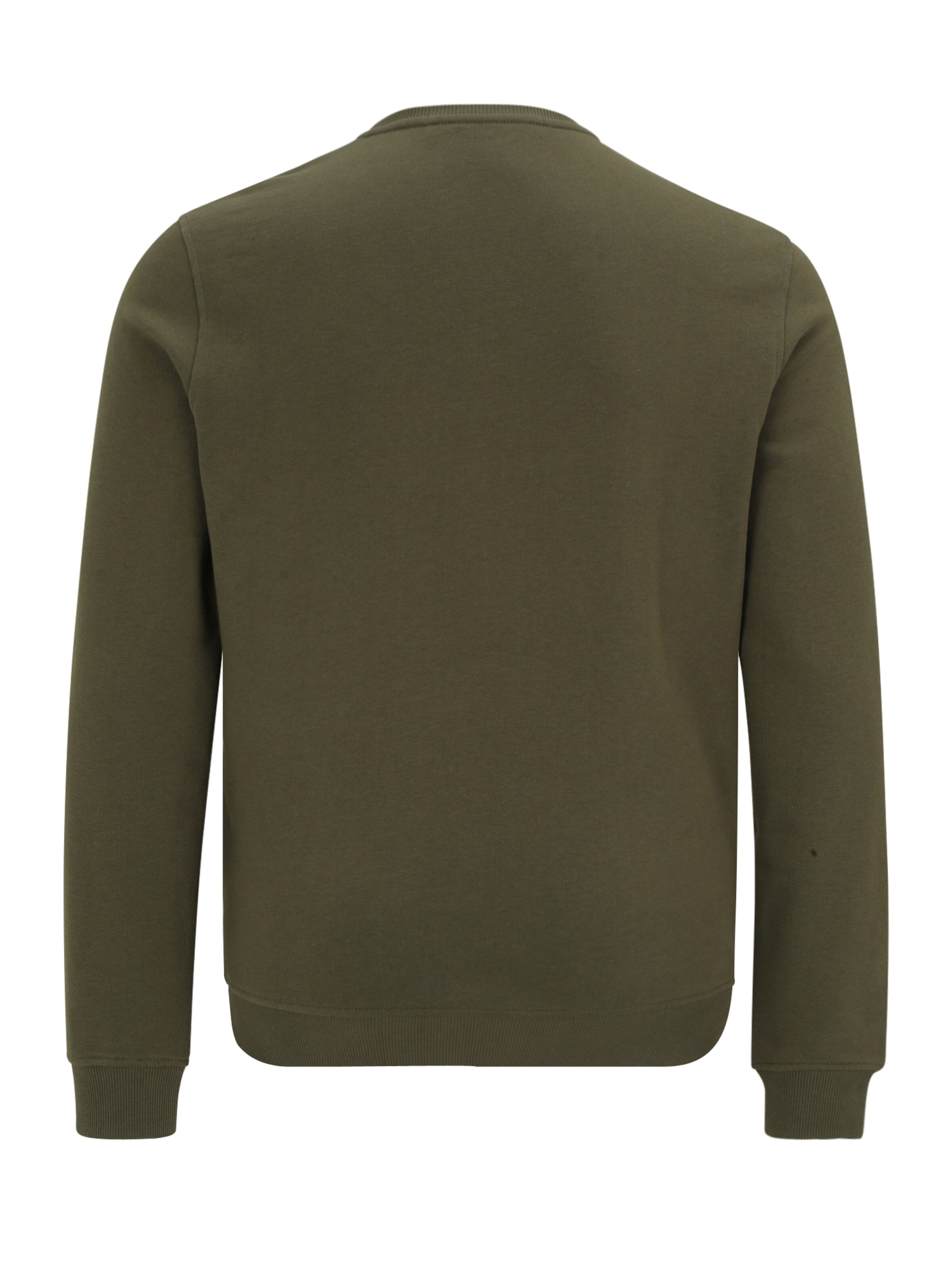 Felpa di Karl Lagerfeld in verde: dietro