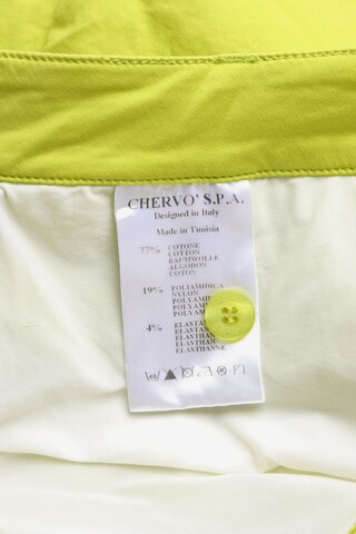 Chervo Skirt in S in Green