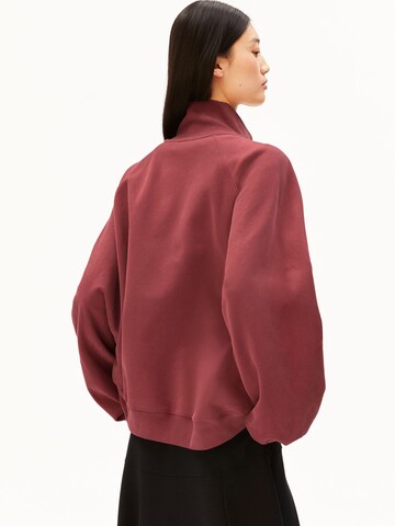 ARMEDANGELS Sweatshirt ICONIC Å in Rot: Rückseite