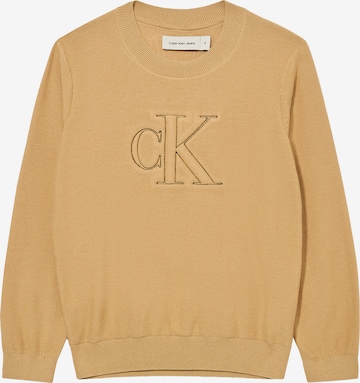 smėlio Calvin Klein Jeans Megztinis: priekis