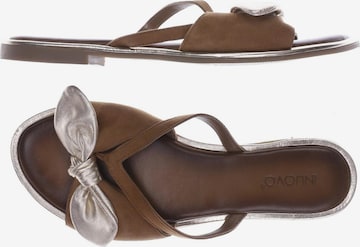 INUOVO Sandals & High-Heeled Sandals in 41 in Brown: front