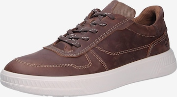 ECCO Trainers 'Move' in Brown: front