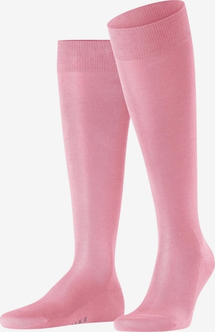 FALKE Kniestrümpfe 'Tiago' in Pink: Vorderseite